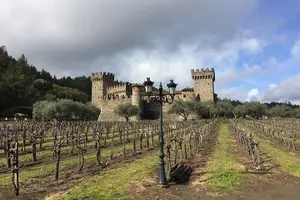 Tour image of 6-Hour Private Limousine Wine Country Tour of Napa or Sonoma