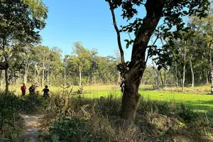 Tour image of 2 Hours Nature Walk in Chitwan National Park