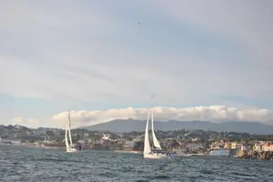 Tour image of Cascais Private Sailing 2h Cruise with a drink