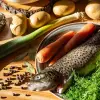 Image of Food & Drink Classes
