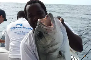 Tour image of Private 6hr Deep Sea Fishing Charter on "Angler Management"