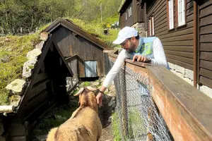 Tour image of Stavanger: Waterfalls, Fjords, and Via Ferrata Day Trip