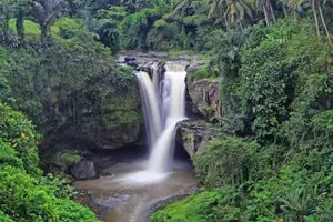 Tour image of All-Inclusive Ubud Private Tour