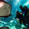 Image of Scuba Diving