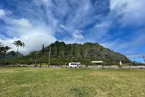 Tour image of Oahu Guided Circle Island Tour, Swim w/ Turtles, Dole, Blowhole