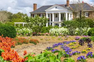 Tour image of Boone Hall Plantation All-Access Admission Ticket