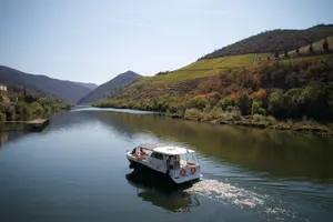 Tour image of Douro River Cruise - Private River Cruise - Pinhão 1 Hour
