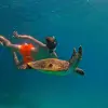 Image of Snorkeling