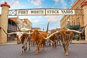 Tour image of Fort Worth Championship Rodeo and Stockyards Tour