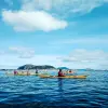 Image of Kayaking Tours