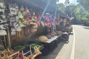Tour image of Cameron Highland Full Day Tour from KL City (Private)