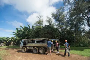Tour image of Big Island Kohala Canopy Zipline Adventure