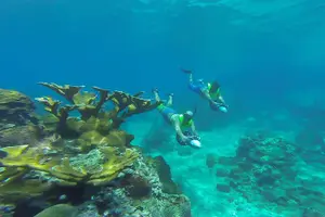 Tour image of St. Lucia Speedboat and Power Snorkel From Castries