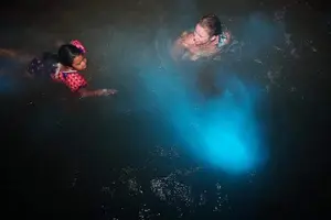 Tour image of Private Tour from Ocho Rios Runaway Bay to the Luminous Lagoon