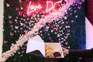 Tour image of Delicious Donuts of Downtown DC: A Sweet City Experience