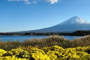 Tour image of Mount Fuji Full-Day Private Tour from Yokohama Port Customizable