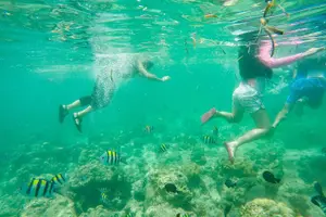 Tour image of Mactan Cebu Island Hopping with Lunch - Gilutungan, Caohagan, Nalusuan