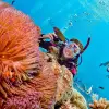 Image of Snorkeling