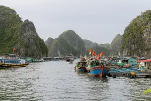 Tour image of Bioluminescent Plankton Kayak Boat Tour