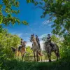Image of Pack Animal Tours
