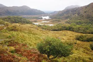 Tour image of Guided Tour The Ring of Kerry, Skellig Ring and Valencia Island