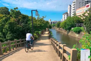 Tour image of e-bike Cycling Tour in Himeji Castle Town