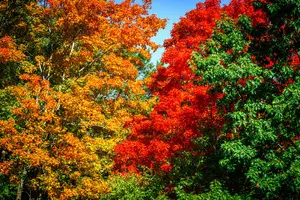 Tour image of Private Day Trip to Lexington and Concord from Boston