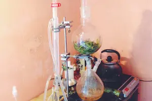 Tour image of Distillation of Okinawa Herb Essential Oil and Herbal Water