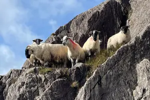 Tour image of 6 Day Small Group! Full package Southern Ireland tour from Dublin