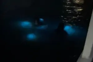 Tour image of Explore Montego Bay to Luminous LagoonGlistening Water Night Tour