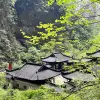 Image of Historical Tours