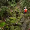 Image of Hiking Tours