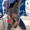 Image of Fishing Charters