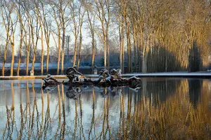 Tour image of Versailles Palace and Gardens Ticket
