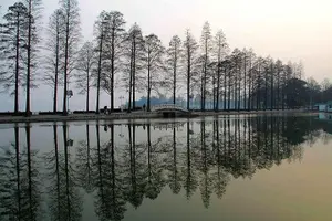 Tour image of 4 hours Walking tour to Wuhan Yellow crane tower and Donghu lake with boat trip