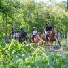 Image of Horseback Riding