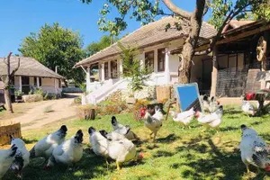 Tour image of Half-Day Private Guided Tour of Orheiul Vechi and a Farmhouse
