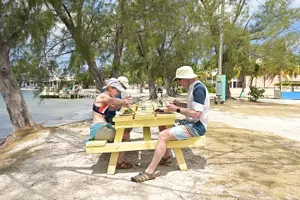 Tour image of Stingray City and Snorkel Tour With Lunch