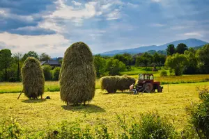 Tour image of Maramures village break (2 days, from Cluj)