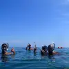 Image of Snorkeling