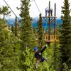Image of Ziplining
