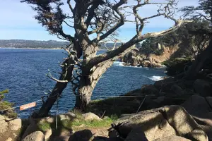 Tour image of 3-Hour Kayaking and Hiking in California’s Central Coast