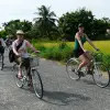 Image of Plantation Tours