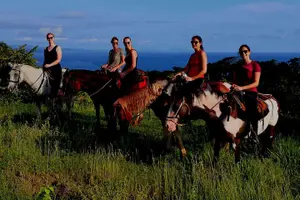 Tour image of Horseback Riding in Playa Carrillo