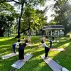 Image of Yoga Classes