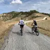 Image of Bike Rentals