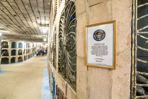 Tour image of Biking a Guinness Book Winery