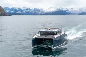 Tour image of Luxury Whale Watching From Tromso - Small group and local guide