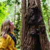 Image of Mountain Bike Tours