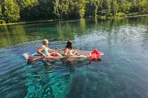 Tour image of Clear Kayak or Paddleboard Manatee Adventure